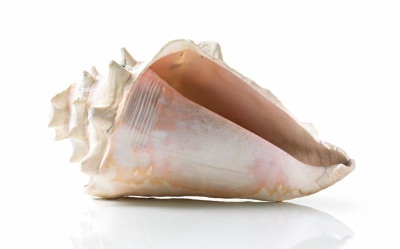 Bosch DIA098E50 Tichý chod